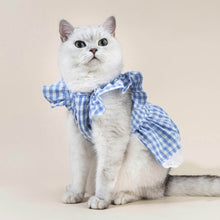 Load image into Gallery viewer, Checkers Cat Dress &amp; Bow Set | Dress for Cats | Cat with Dress | MissyMoMo
