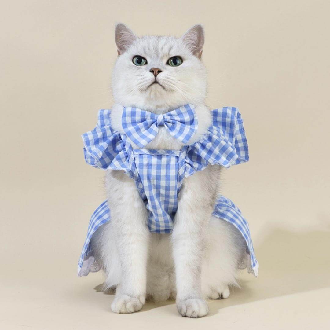 Checkers Cat Dress & Bow Set | Dress for Cats | Cat with Dress | MissyMoMo