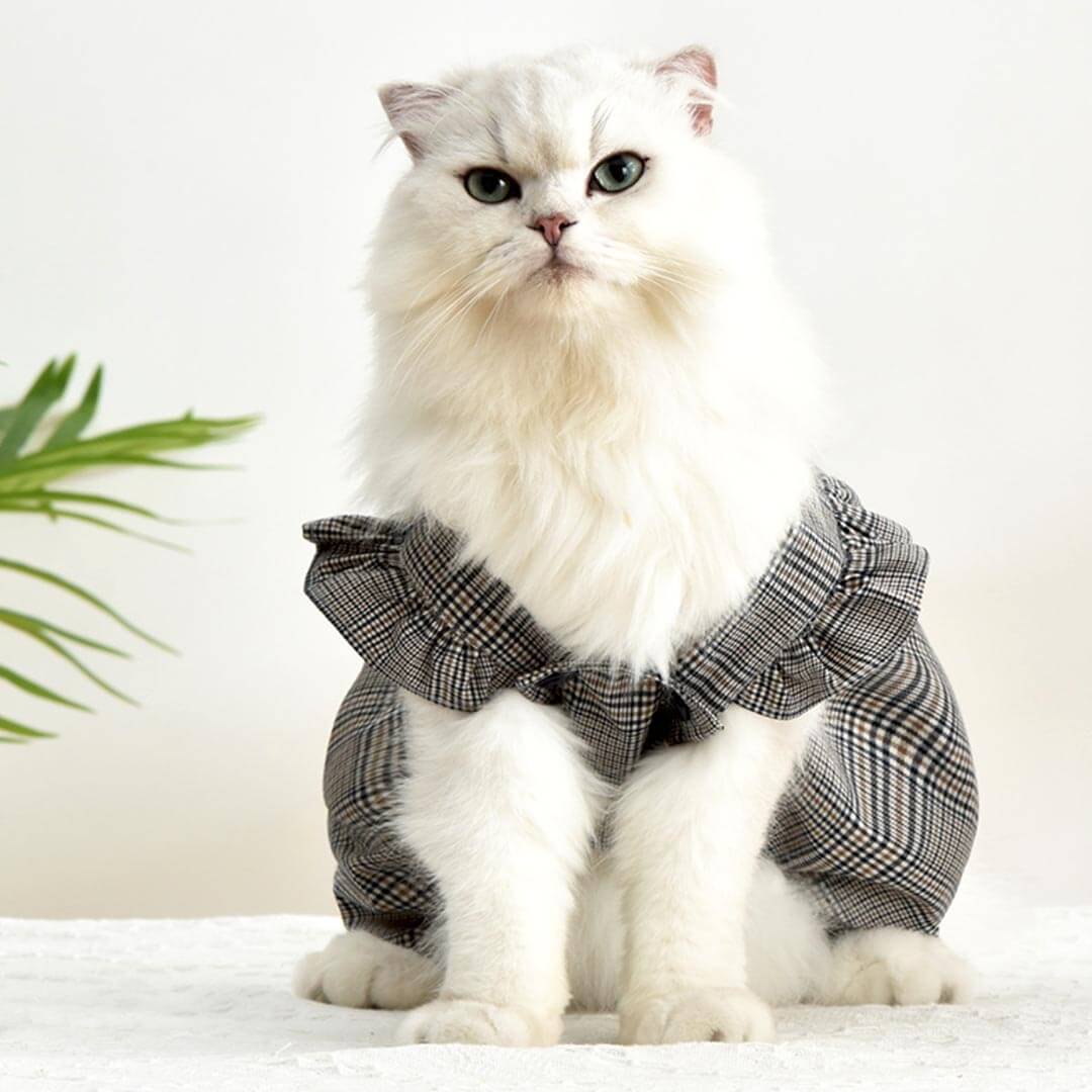 Checkers Cat Dungarees | Cat Clothes | Pet Clothes | MissyMoMo