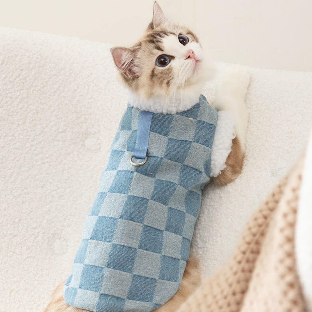 Cat in Blue Checkered Fleece Jacket | MissyMoMo