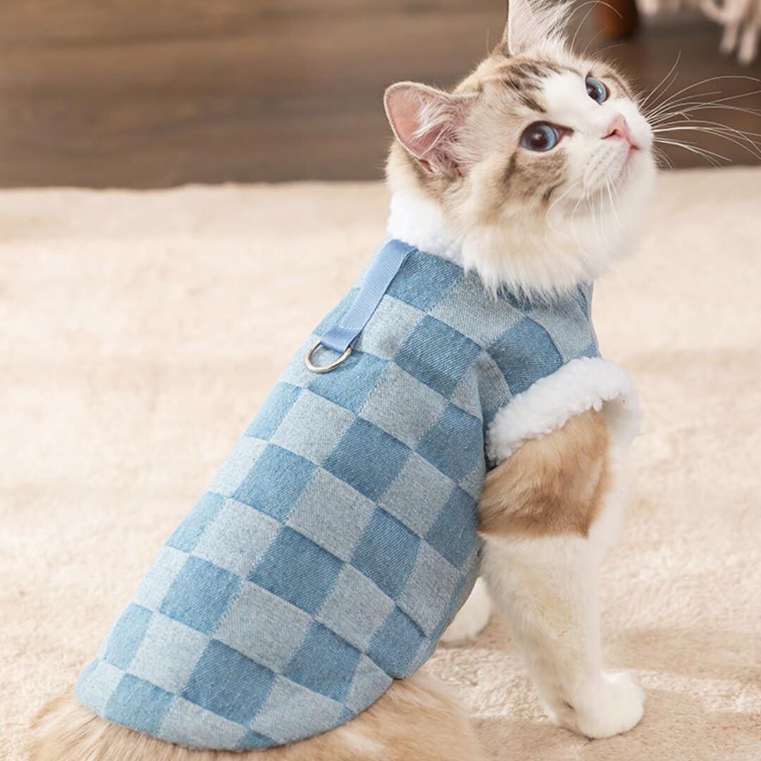Cat in Blue Checkered Fleece Jacket | MissyMoMo