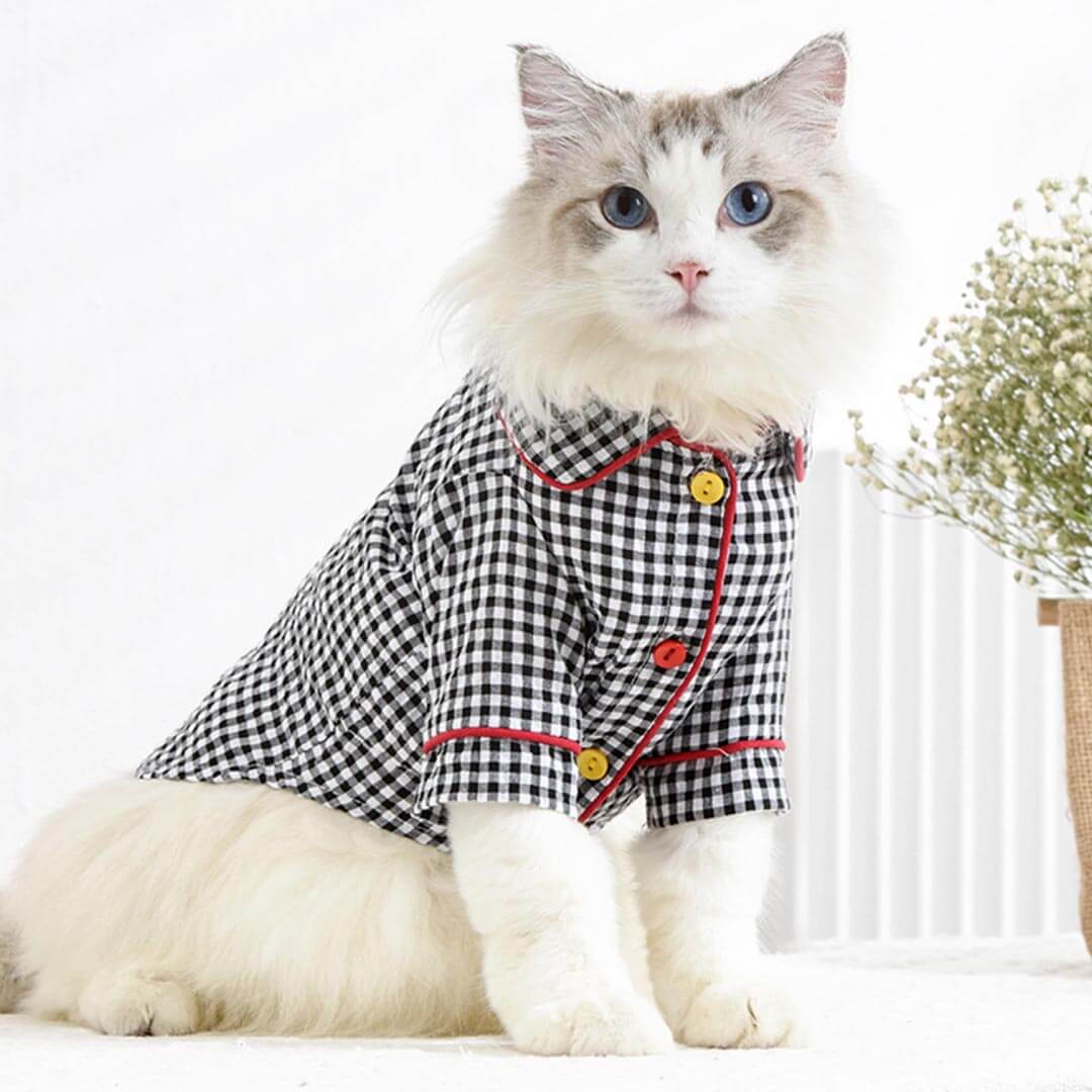 Checkers Cat Lounge Shirt | Cat with Clothes | Pajamas for Cats | MissyMoMo