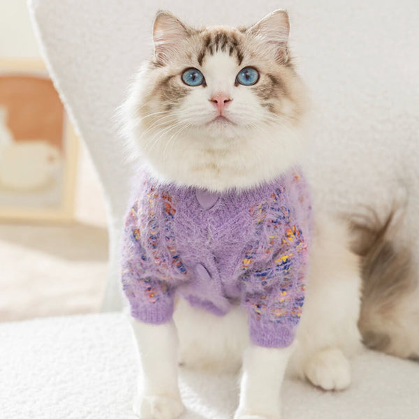 Cat in Stylish Purple Cardigan | MissyMoMo