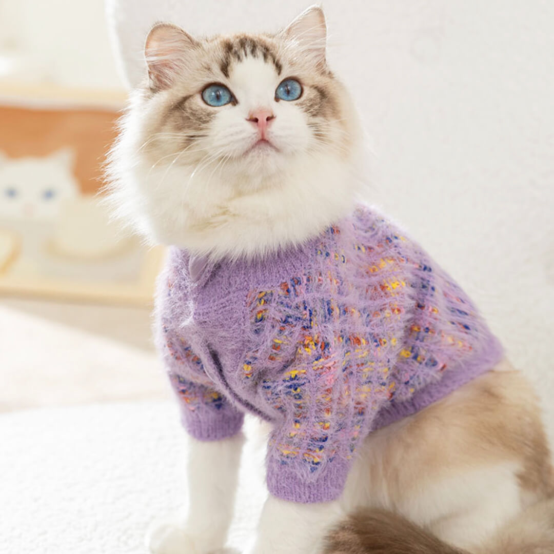 Cat in Stylish Purple Cardigan | MissyMoMo