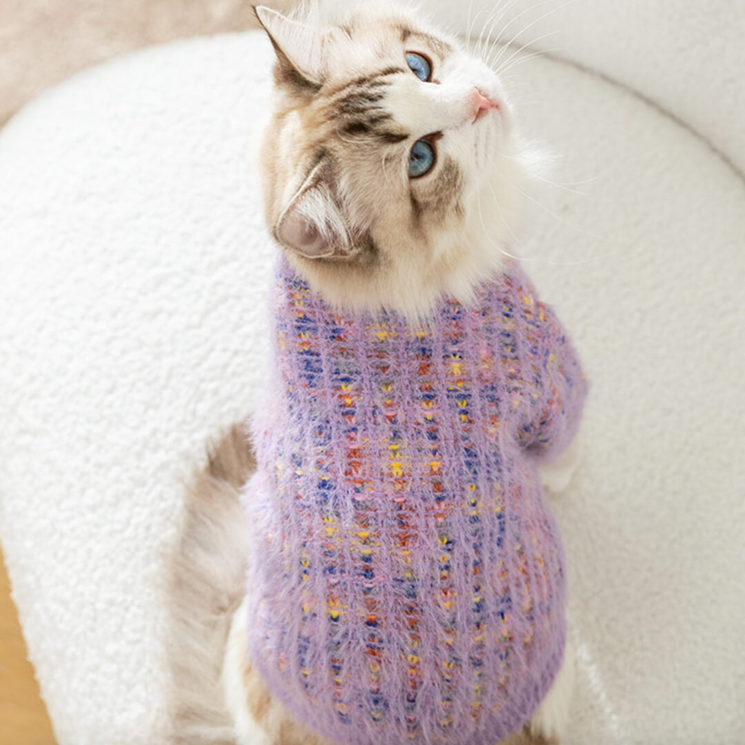 Cat in Stylish Purple Cardigan | MissyMoMo