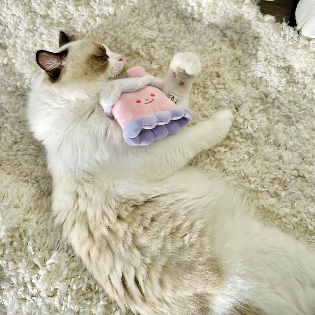 Cat with Cherry Cake Catnip Toy | Cute Toy for Cats & Kittens | MissyMoMo