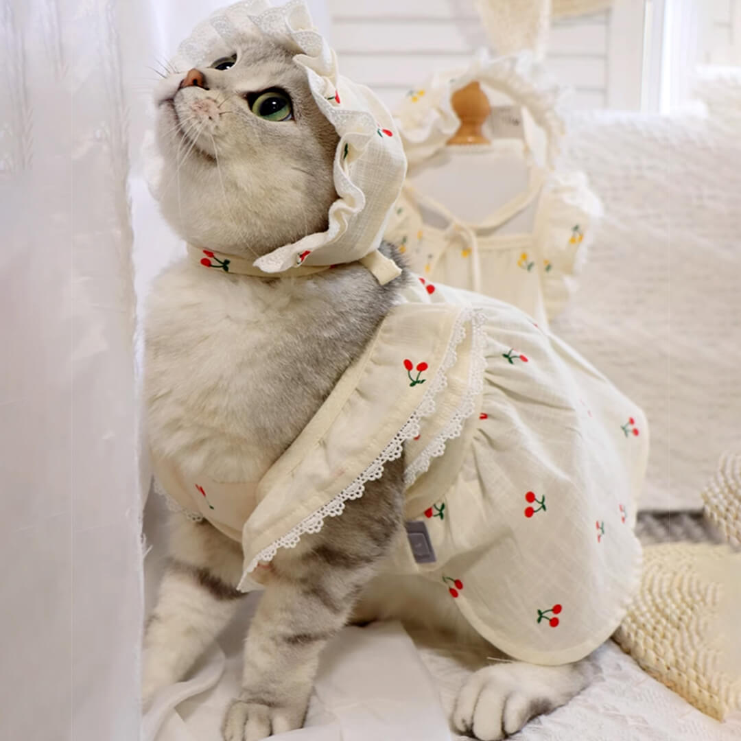 Cat in Red Cherry Print Hat & Dress | MissyMoMo