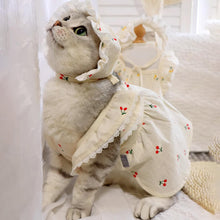 Load image into Gallery viewer, Cat in Red Cherry Print Hat &amp; Dress | MissyMoMo
