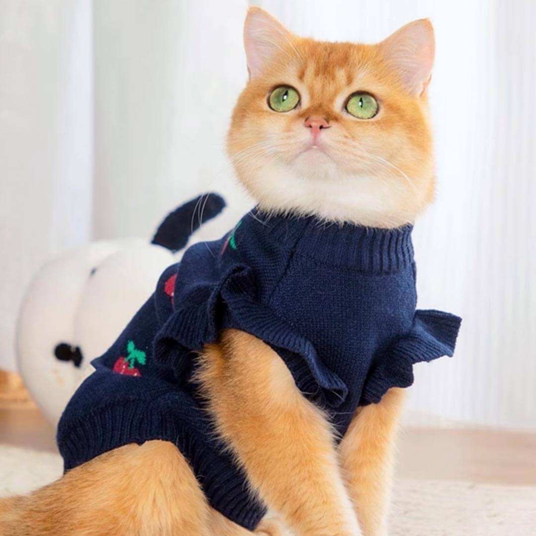 Cat in Navy Cherry Print Sweater | MissyMoMo