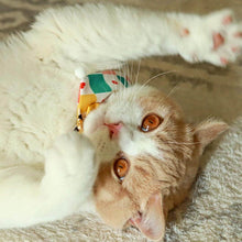 Load image into Gallery viewer, Circus Cat Bib | Cute Accessories for Cats | MissyMoMo
