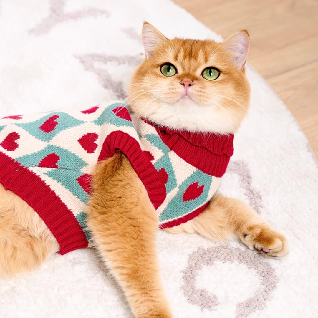 Cat in Red Heart Pattern Sweater | MissyMoMo