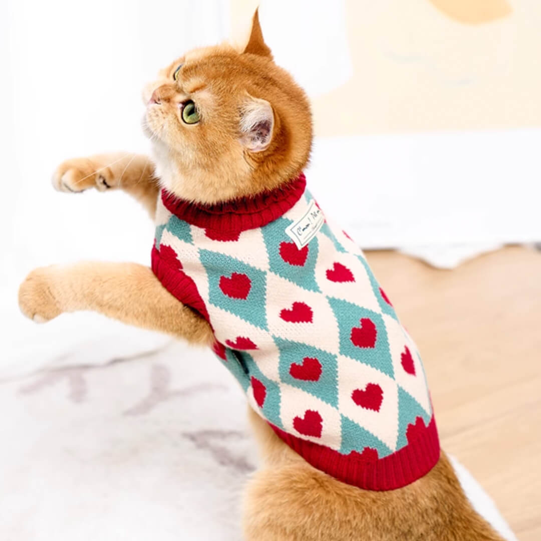 Cat in Red Heart Pattern Sweater | MissyMoMo