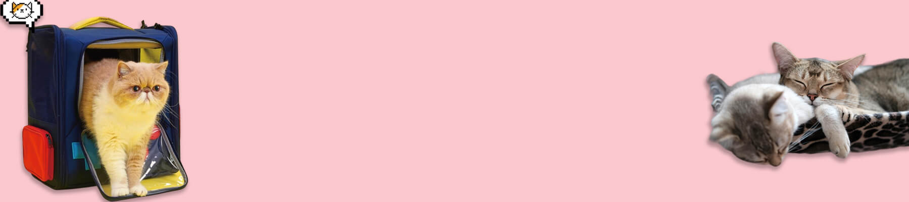 Cute Cat Carrier Collection