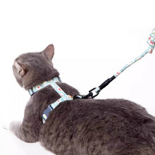 Load image into Gallery viewer, Cat on a Light Blue H-Style Cat Harness | MissyMoMo
