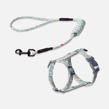Load image into Gallery viewer, Daisy Light Blue Cat Harness &amp; Leash Set for Walking | H-Style Cat Harness for Walking | MissyMoMo
