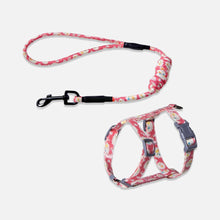 Load image into Gallery viewer, Daisy Red Cat Harness &amp; Leash Set for Walking | H-Style Cat Harness for Walking | MissyMoMo
