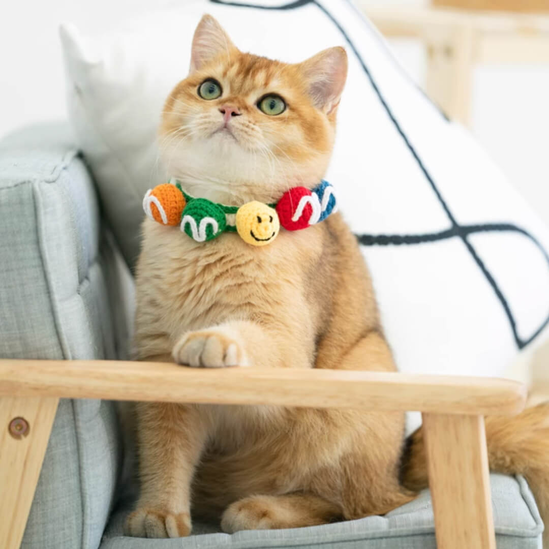 Cat in Handmade Colorful Balls Cat Collar | MissyMoMo