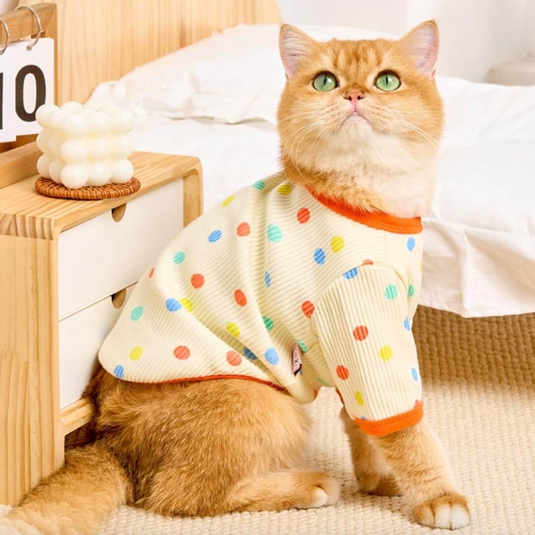 Cat in Cute Yellow Polka Dot T-Shirt | MissyMoMo