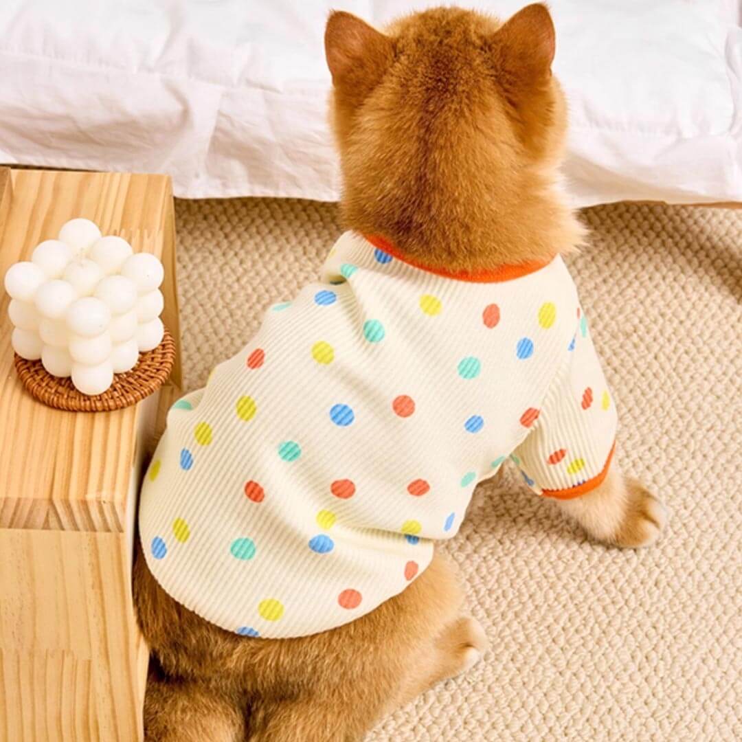 Cat in Cute Yellow Polka Dot T-Shirt | MissyMoMo