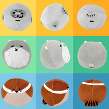 Load image into Gallery viewer, Earth, Sea &amp; Sky Trio Cat Ball Toys | MissyMoMo
