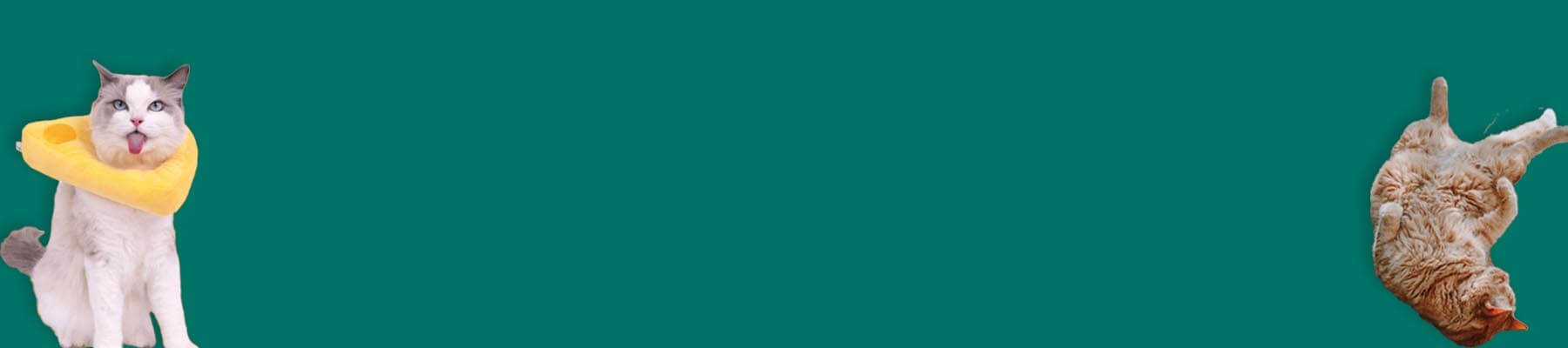 MissyMoMo Cat Elizabethan Collar Collection