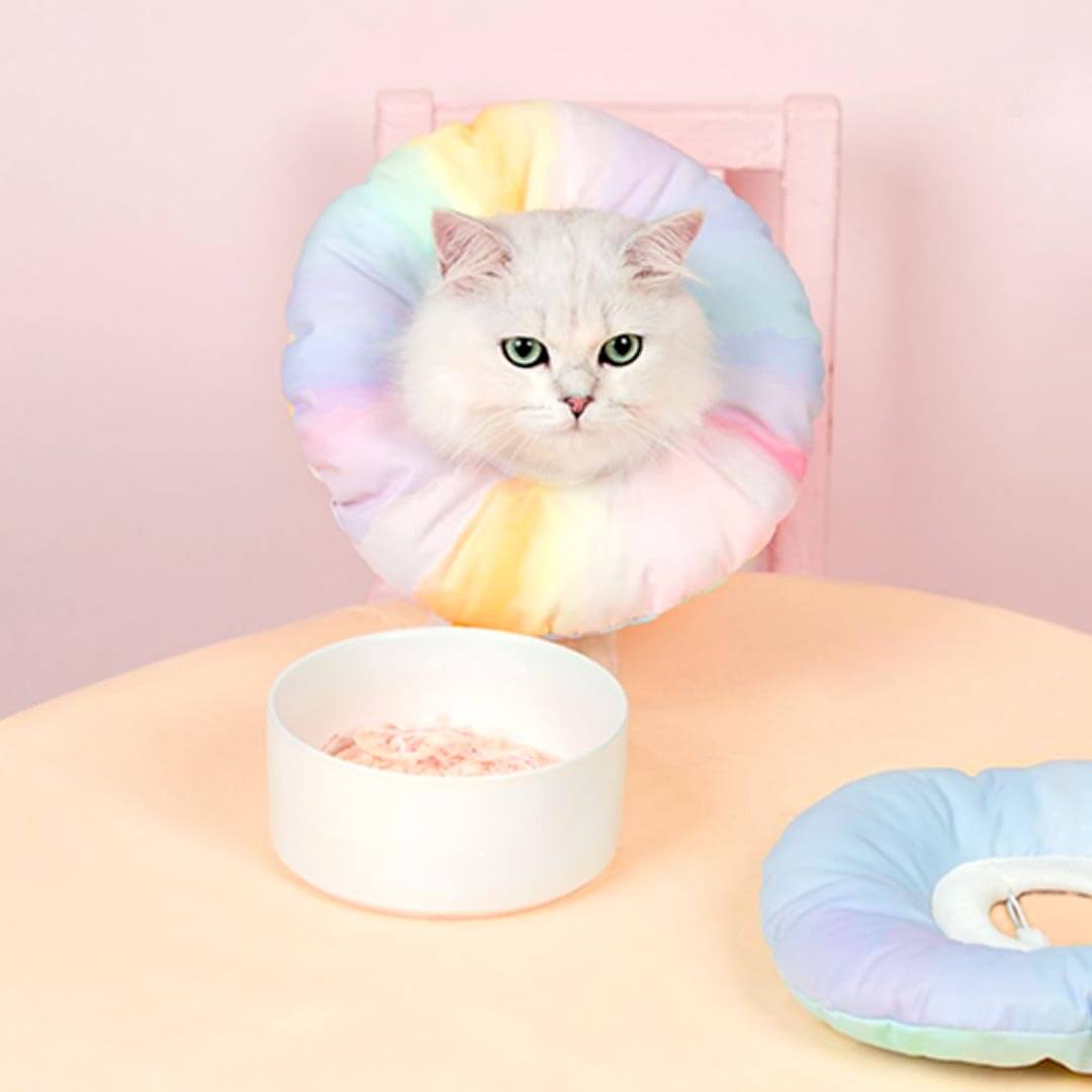 Fairy Elizabethan Collar | Cute E Collar for Pets | MissyMoMo