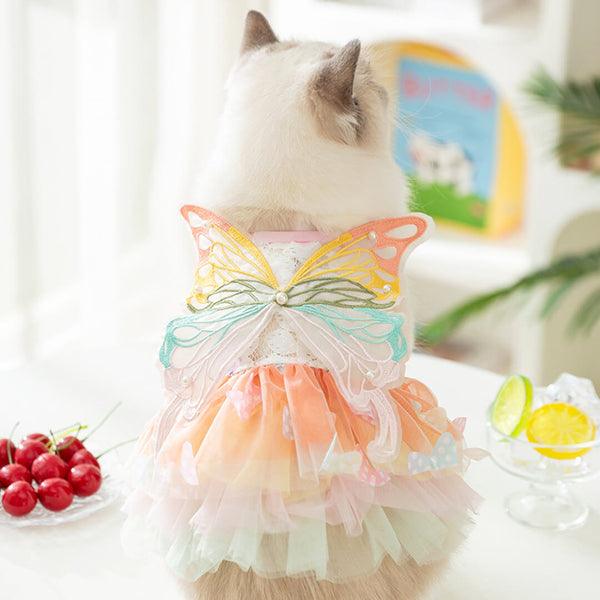 Cat in Butterfly Summer Dress | MissyMoMo