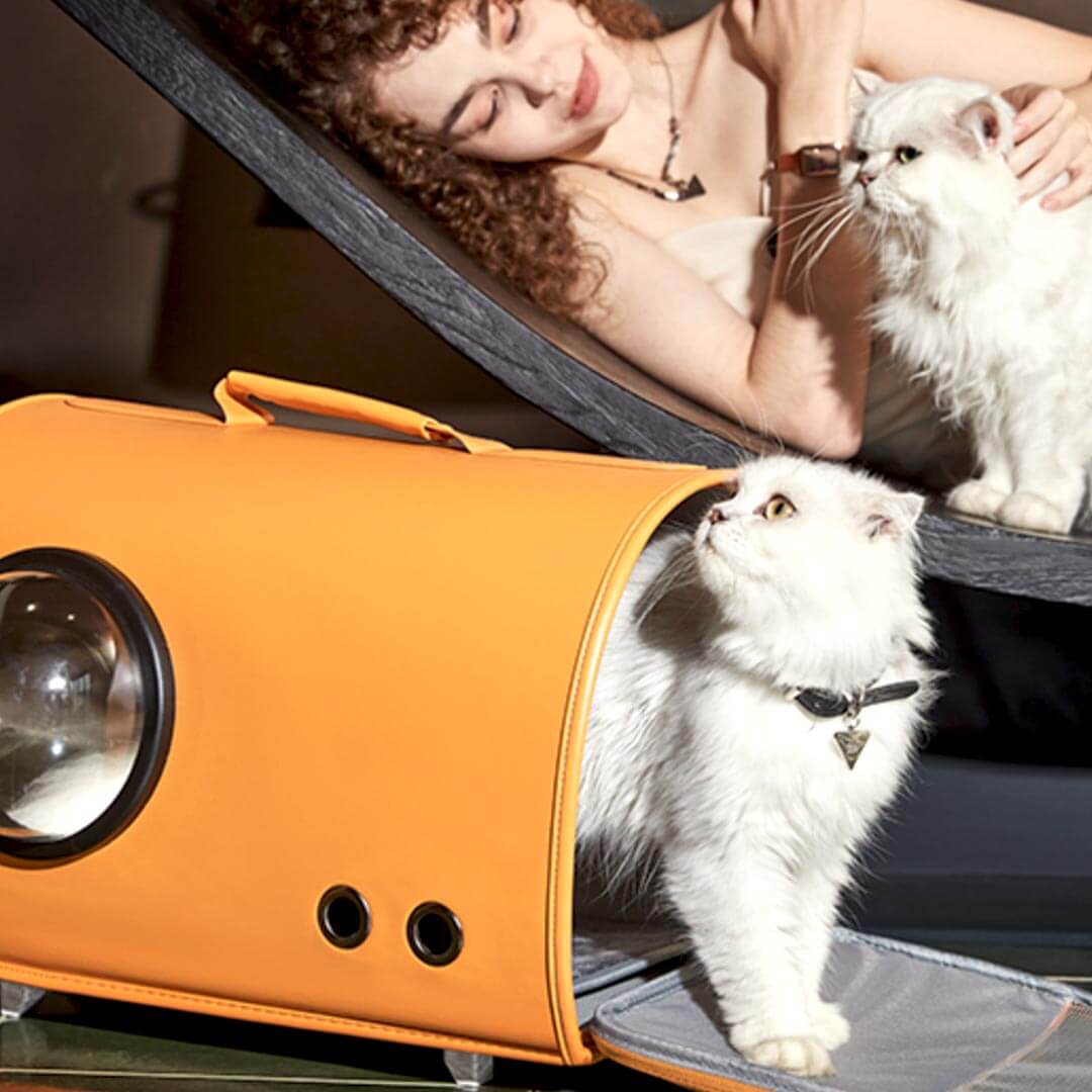 Fancy Poupée Cat Carrier | Luxurious Leather Pet Carrier for 2 Cats | MissyMoMo