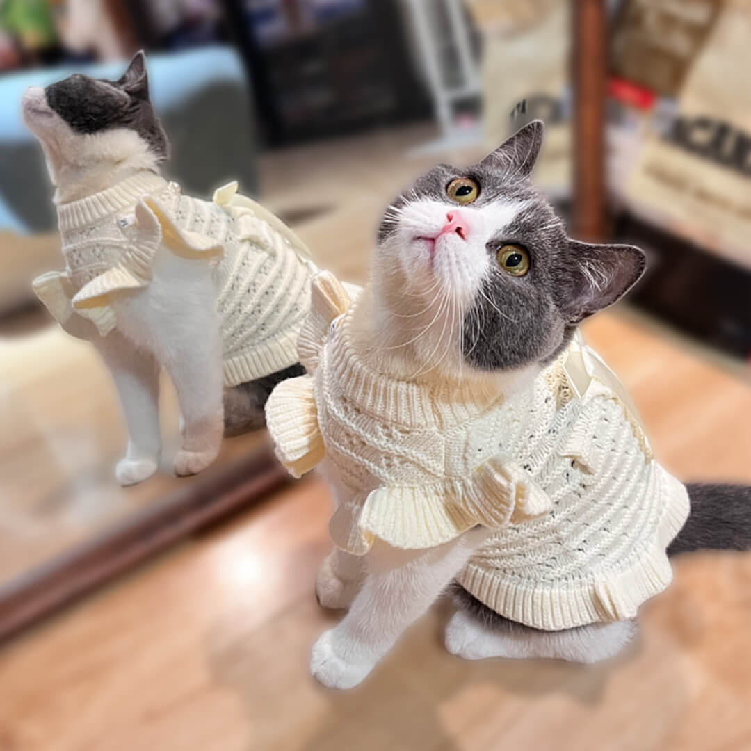 Cat in White Knit Dress | MissyMoMo