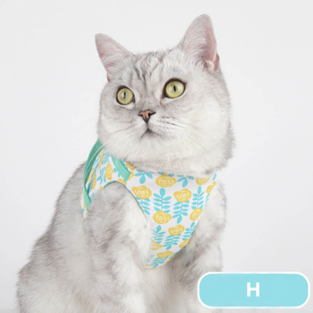 Fleur Cat Harness with Leash | Best Cat Harness and Leash | MissyMoMo