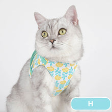 Load image into Gallery viewer, Fleur Cat Harness with Leash | Best Cat Harness and Leash | MissyMoMo
