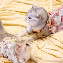 Load image into Gallery viewer, Cats in Floral Print Dresses| MissyMoMo

