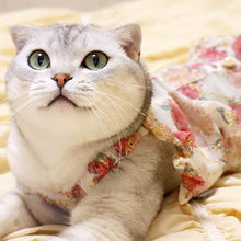 Load image into Gallery viewer, Cat in Floral Print Dress | MissyMoMo
