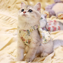 Load image into Gallery viewer, Kitten in Floral Print Dress | MissyMoMo
