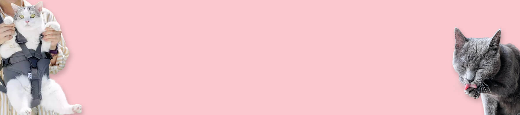 MissyMoMo Front Carrying Cat Carrier Collection