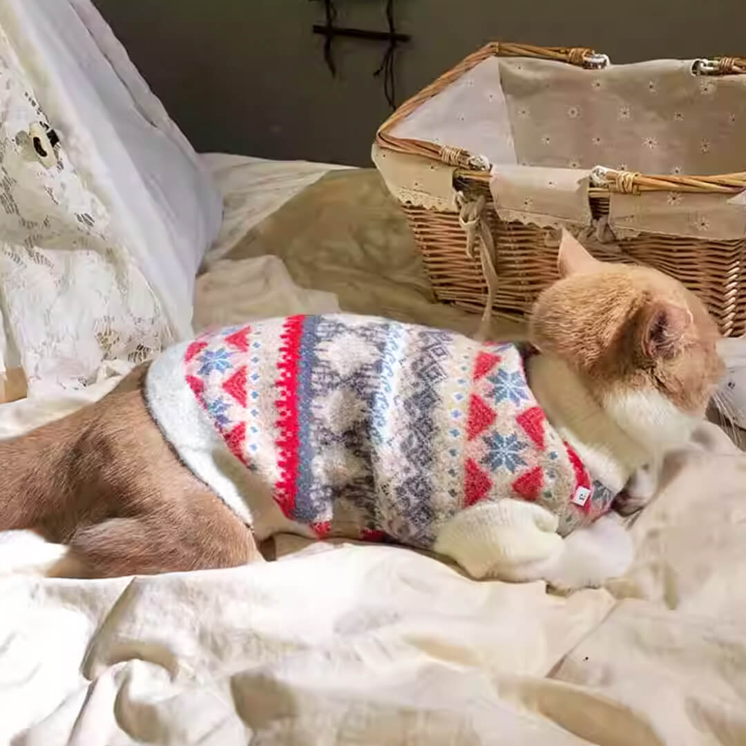 Cat in Fair Isle Cat Sweater | MissyMoMo