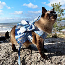 Load image into Gallery viewer, Siamese Cat Exploring Outdoors in Fuji Cat Harness | MissyMoMo
