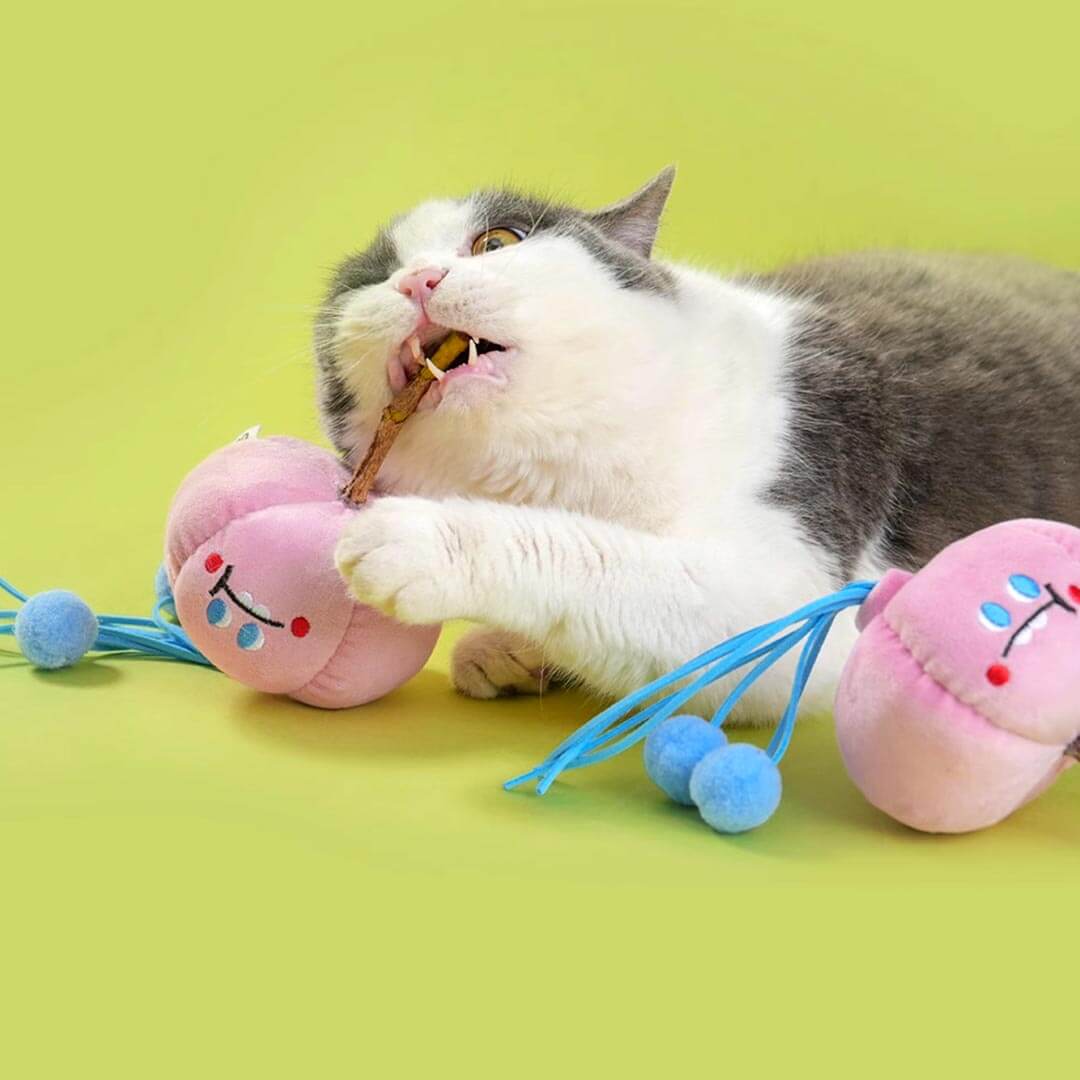 Cat Chewing Garlicky Silvervine Cat Chew Toy | Cute Pink Cat Toys | MissyMoMo