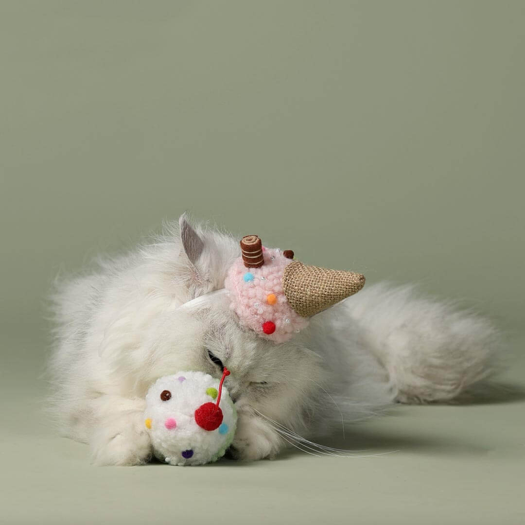 Cat Wearing Gelato Birthday Hat Playing with Ice Cream Catnip Toy | MissyMoMo