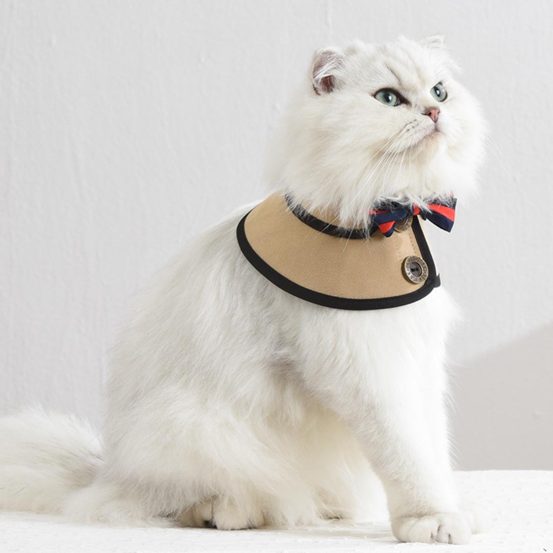 Gentlemeow Cat Bib | Cat with Collar | MissyMoMo