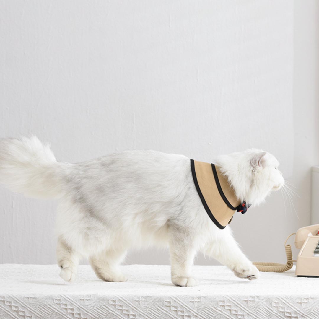 Gentlemeow Cat Bib | Cat with Collar | MissyMoMo