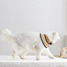 Load image into Gallery viewer, Gentlemeow Cat Bib | Cat with Collar | MissyMoMo
