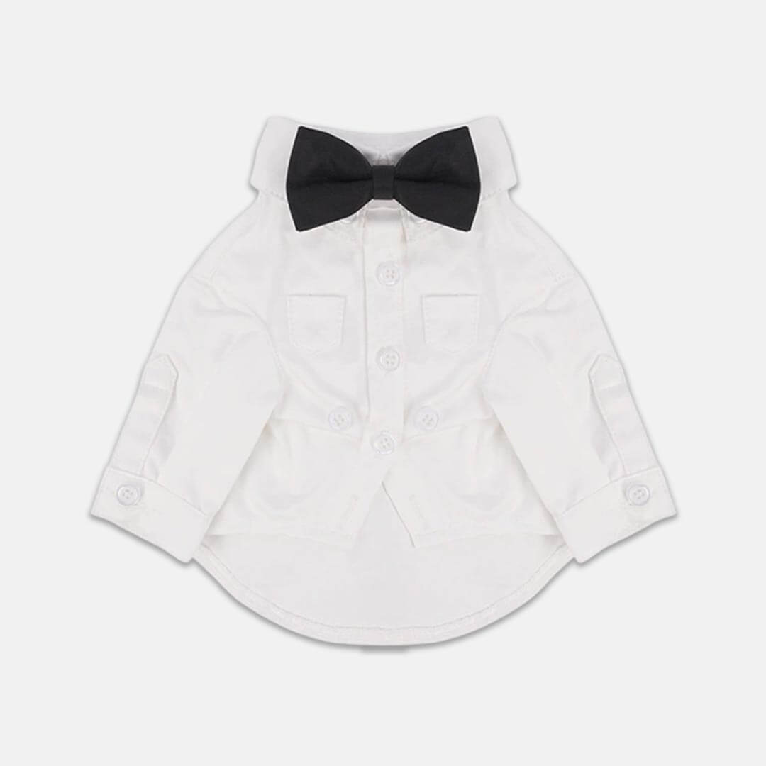 Gentlemeow White Wedding Shirt with a Black Bow Tie for Cats | MissyMoMo