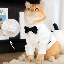Load image into Gallery viewer, Cat Wearing a White Wedding Shirt with a Black Bow Tie | MissyMoMo
