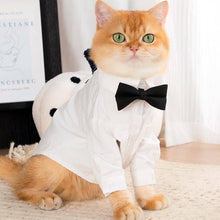 Load image into Gallery viewer, Cat Wearing a White Wedding Shirt with a Black Bow Tie | MissyMoMo
