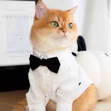 Load image into Gallery viewer, Cat Wearing a White Wedding Shirt with a Black Bow Tie | MissyMoMo
