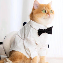 Load image into Gallery viewer, Cat Wearing a White Wedding Shirt with a Black Bow Tie | MissyMoMo
