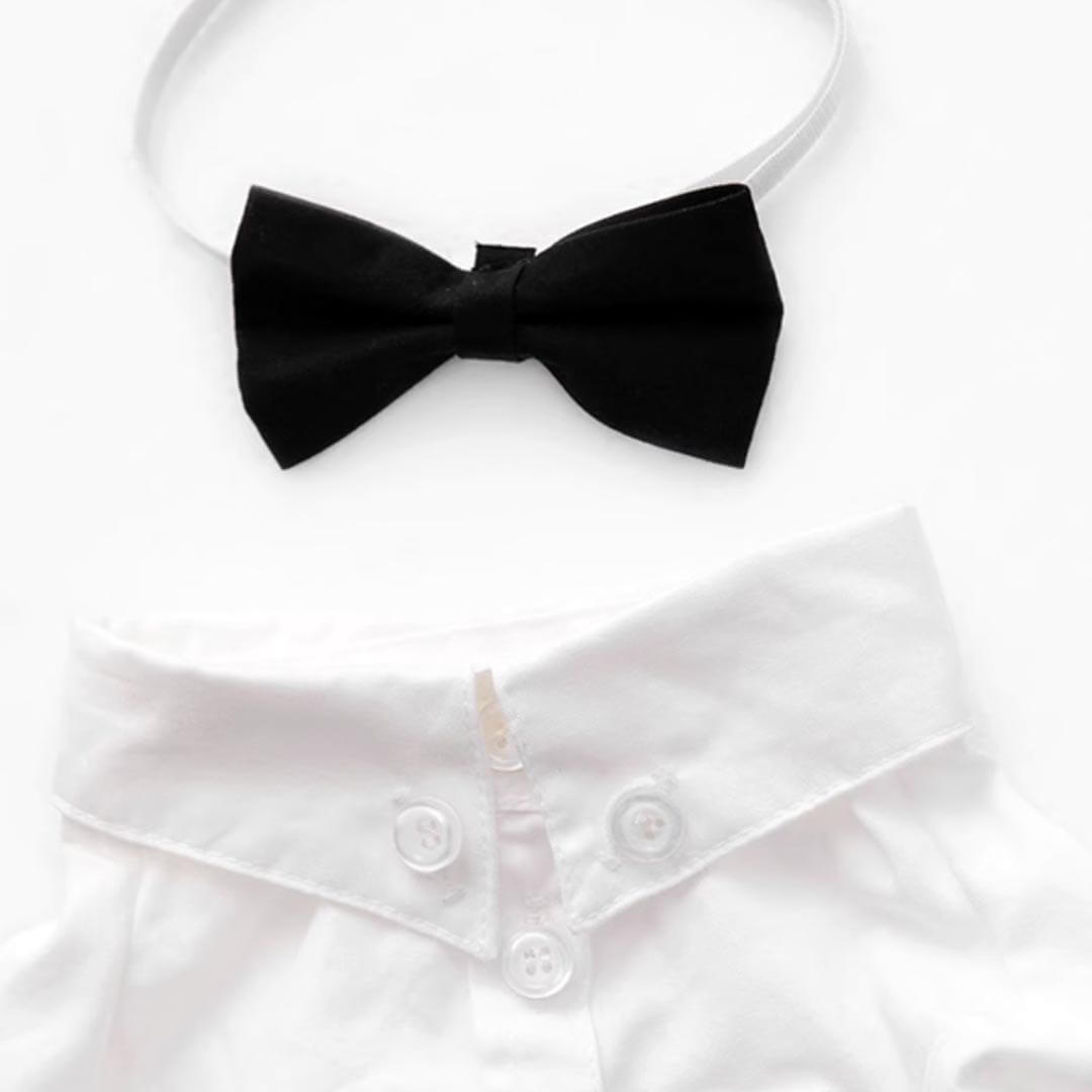 Gentlemeow White Wedding Shirt with a Black Bow Tie for Cats | MissyMoMo