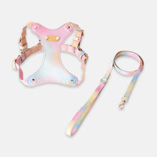 Load image into Gallery viewer, Aurora Vegan Leather Cat Harness and Leash Set with Gradient Colors | MissyMoMo
