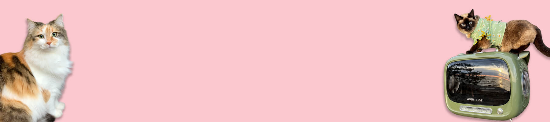 Green Cat Carrier Collection